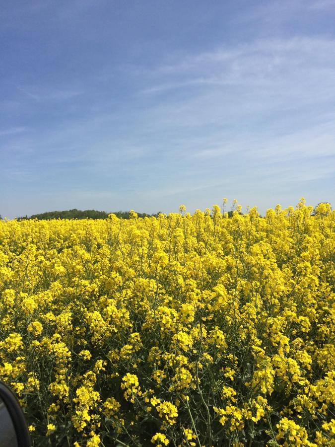 Wellenzauber - Haus 19 *